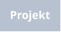 Projekt