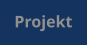 Projekt